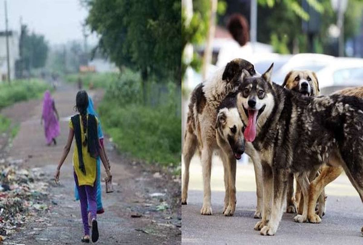 Dogs cut Open Defecation people