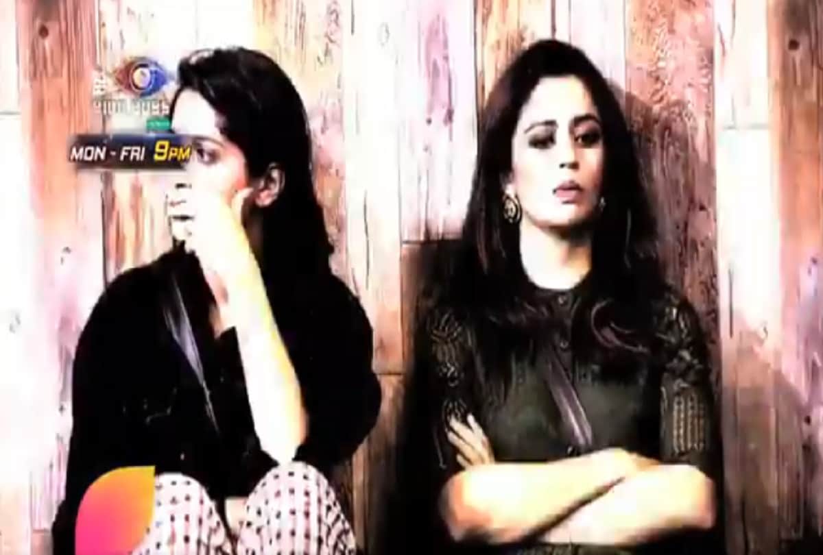 bigg boss 19th day live update and salman khan
