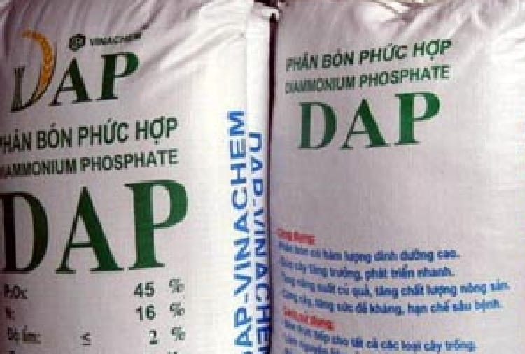 increase price of DAP in Punjab