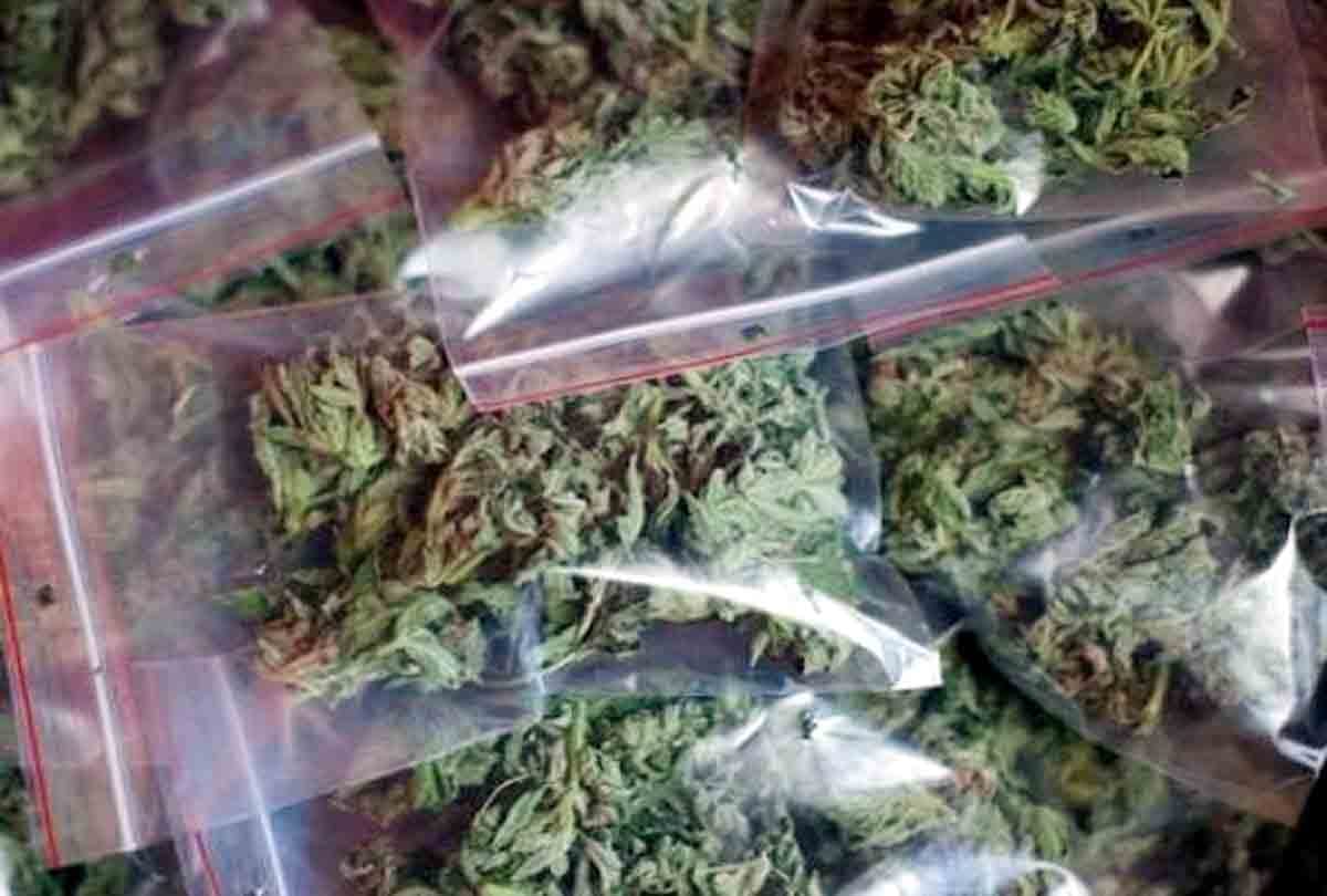 women are selling ganja in fatehpur