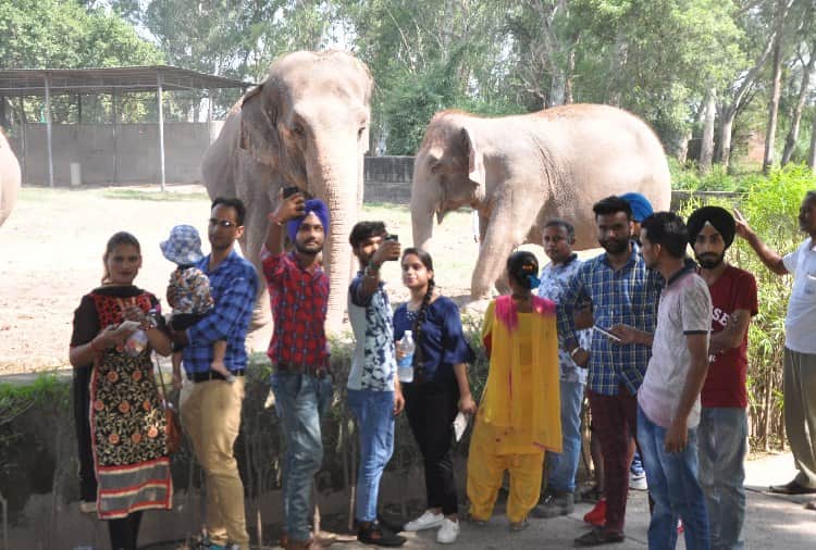 Animals Life in ChhatBir Zoo Zirakpur