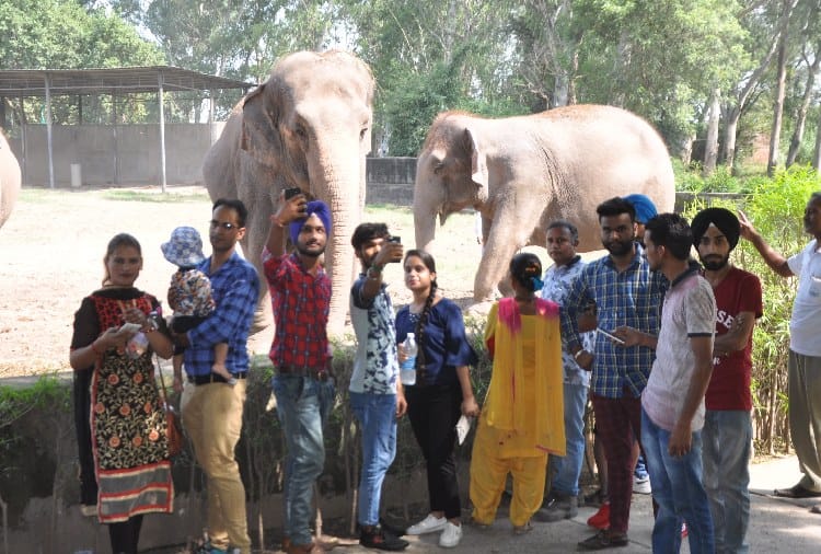 Animals Life in ChhatBir Zoo Zirakpur
