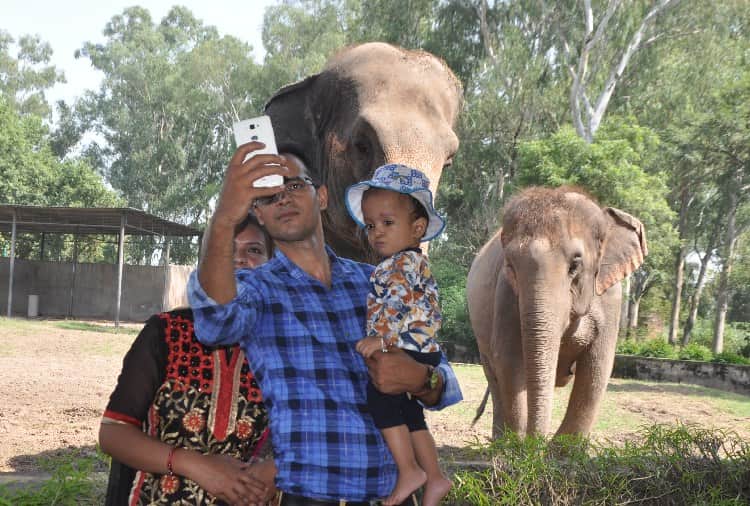 Animals Life in ChhatBir Zoo Zirakpur