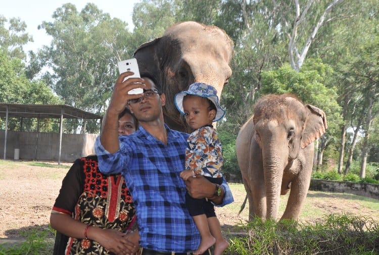 Animals Life in ChhatBir Zoo Zirakpur