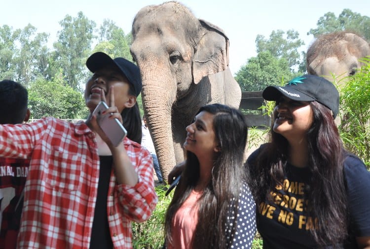 Animals Life in ChhatBir Zoo Zirakpur