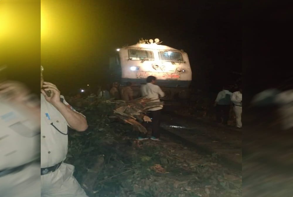 Shatabdi express stuck in forest after tree fall on electric line in raiwala