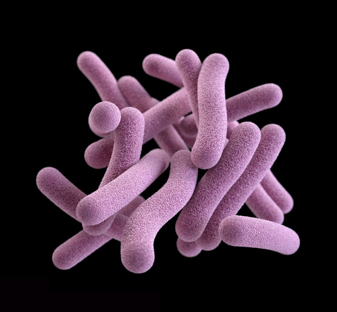 warning Every year millions of people affected by superbug antibiotic is also neutralized