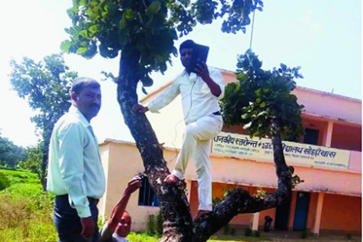 school teachers have to climb trees every morning to record their attendance regularly online