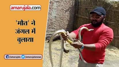 vikram singh malot died after king kobra bite in nashik