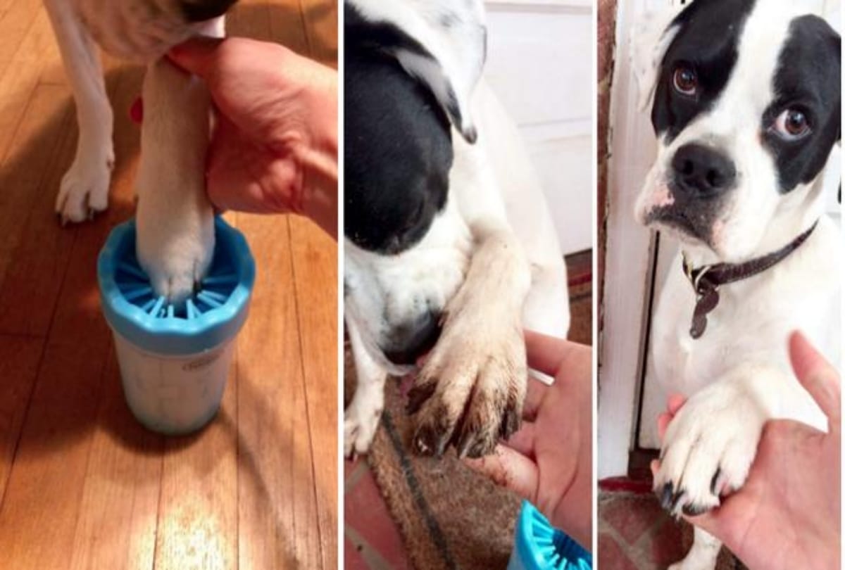 These Little Home Gadgets That ll Make Your Life a Whole Lot Easier