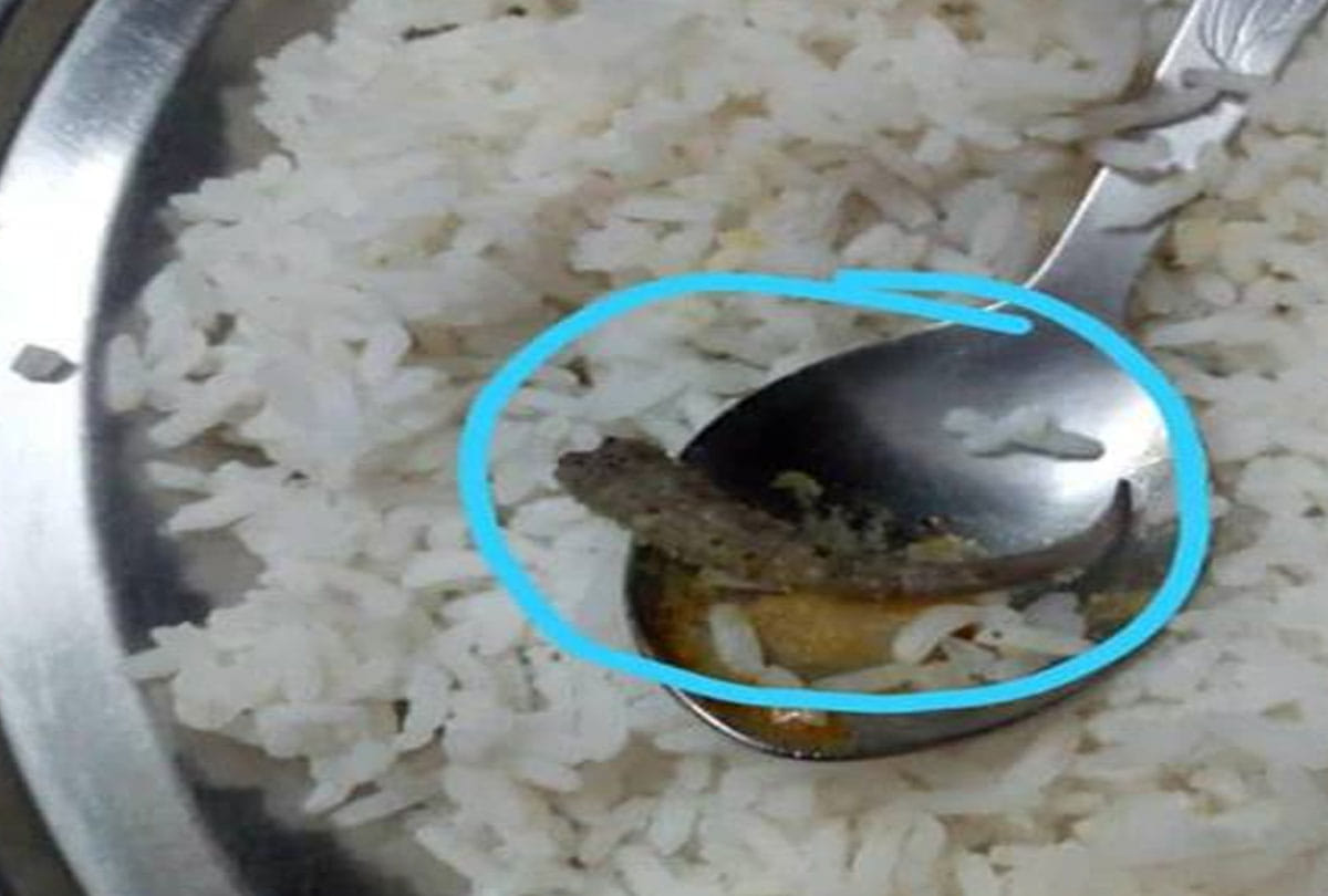 Lizard coming out of the Kanpur University girls hostels food