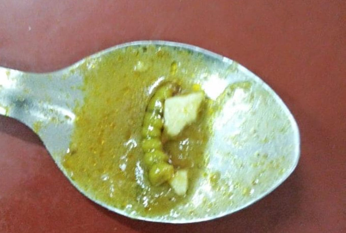 Lizard coming out of the Kanpur University girls hostels food