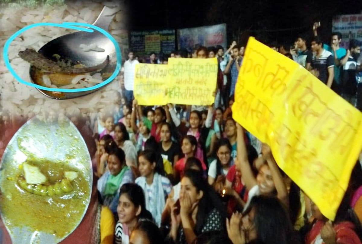 Lizard coming out of the Kanpur University girls hostels food