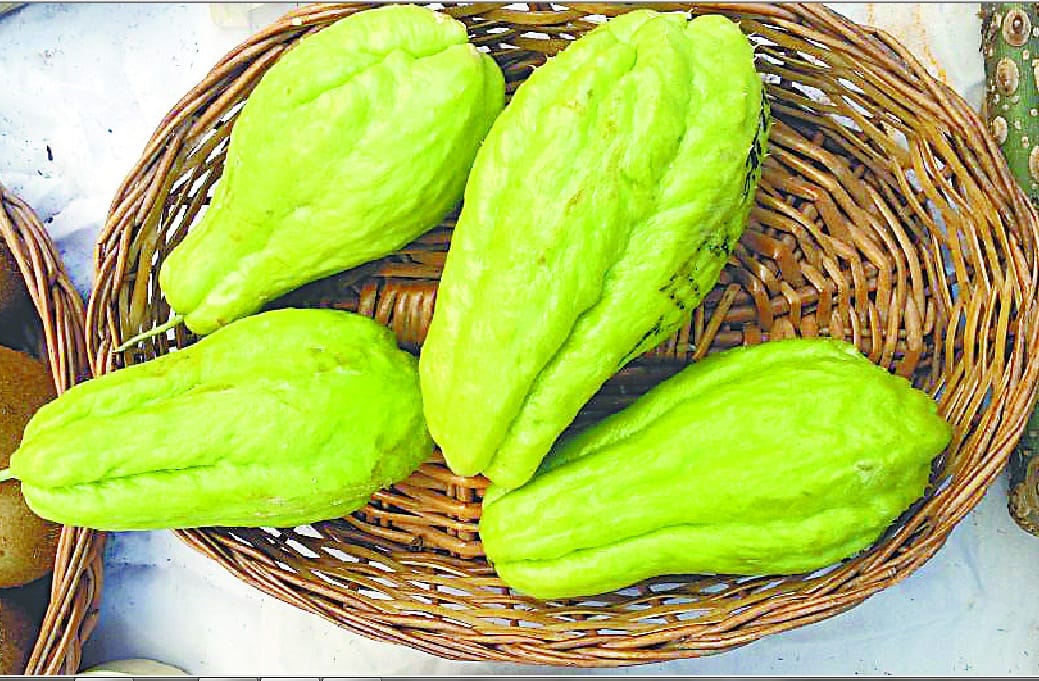 Mashroom will in hill areas only
