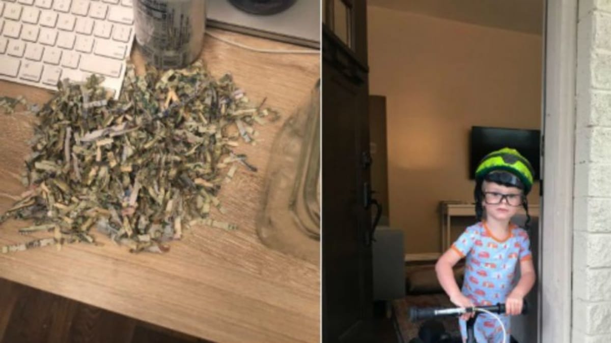 toddler shredded 1000 dollar parent were collecting for football match since 1 year