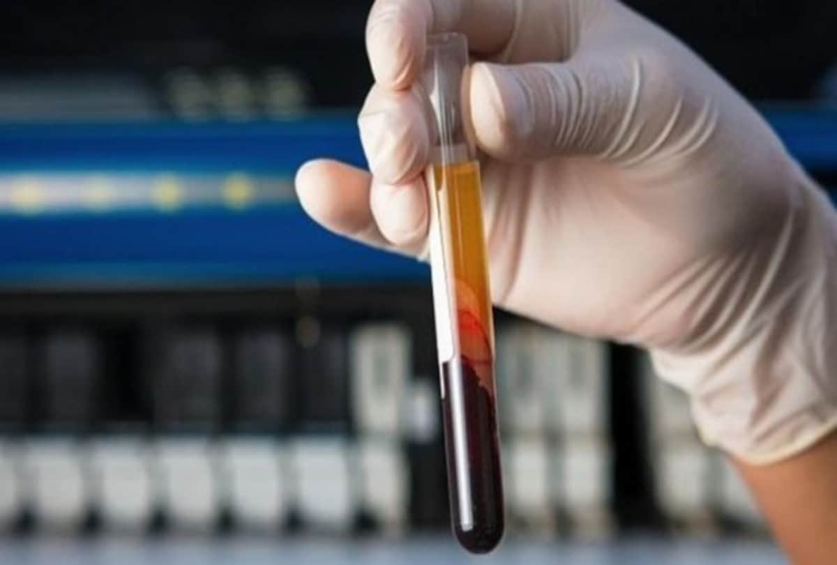 How can be bats just live by drinking blood