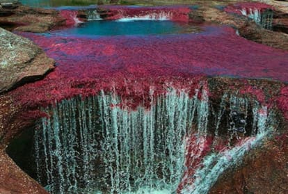 know about color changing river cano cristales in colombia