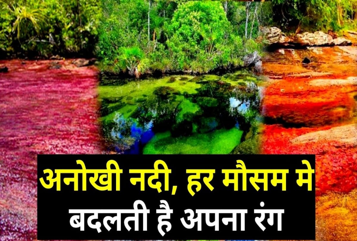 know about color changing river cano cristales in colombia