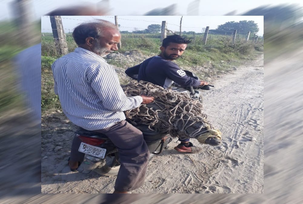 Crocodile Rescued on Motorcycle from house in haridwar
