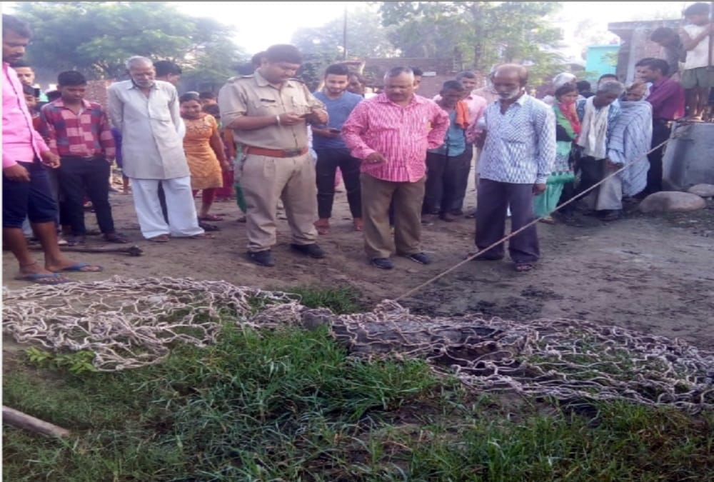 Crocodile Rescued on Motorcycle from house in haridwar