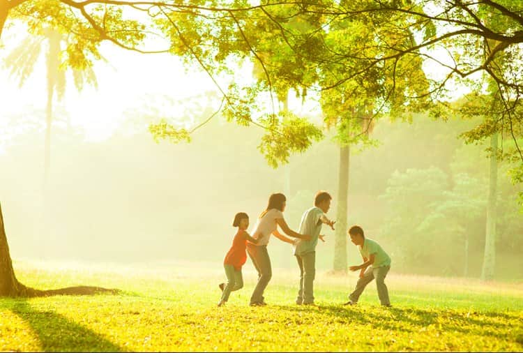 Six Picnic Spots Near Chandigarh, Tourist Spots