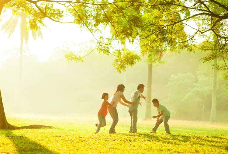 Six Picnic Spots Near Chandigarh, Tourist Spots