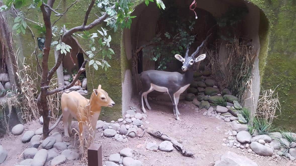 Six Picnic Spots Near Chandigarh, Tourist Spots