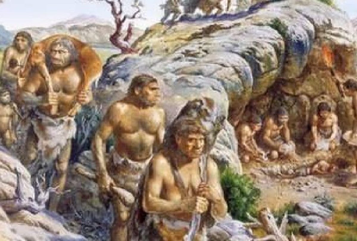 Africans were ancestors of indigenous people who came to India, reveals in research