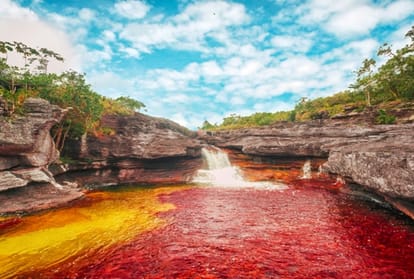 know about color changing river cano cristales in colombia