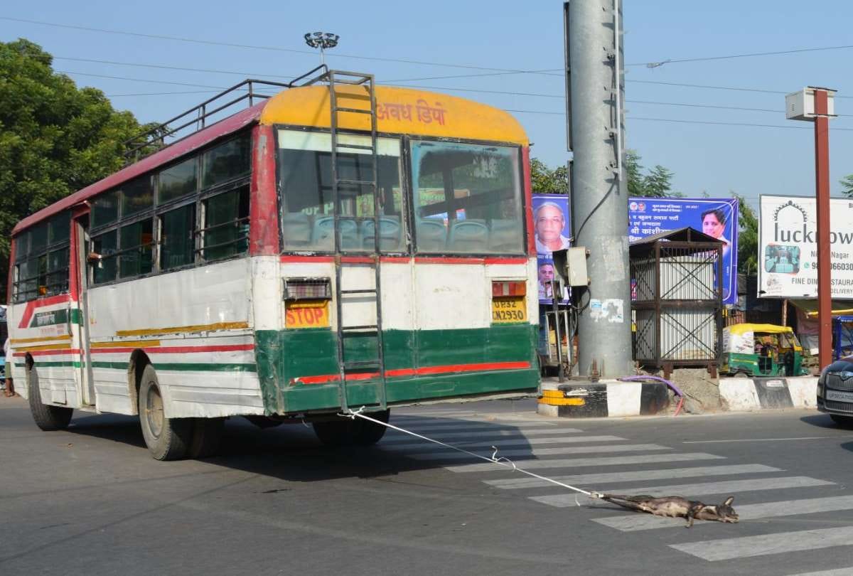 insensitivity of bus driver in lucknow