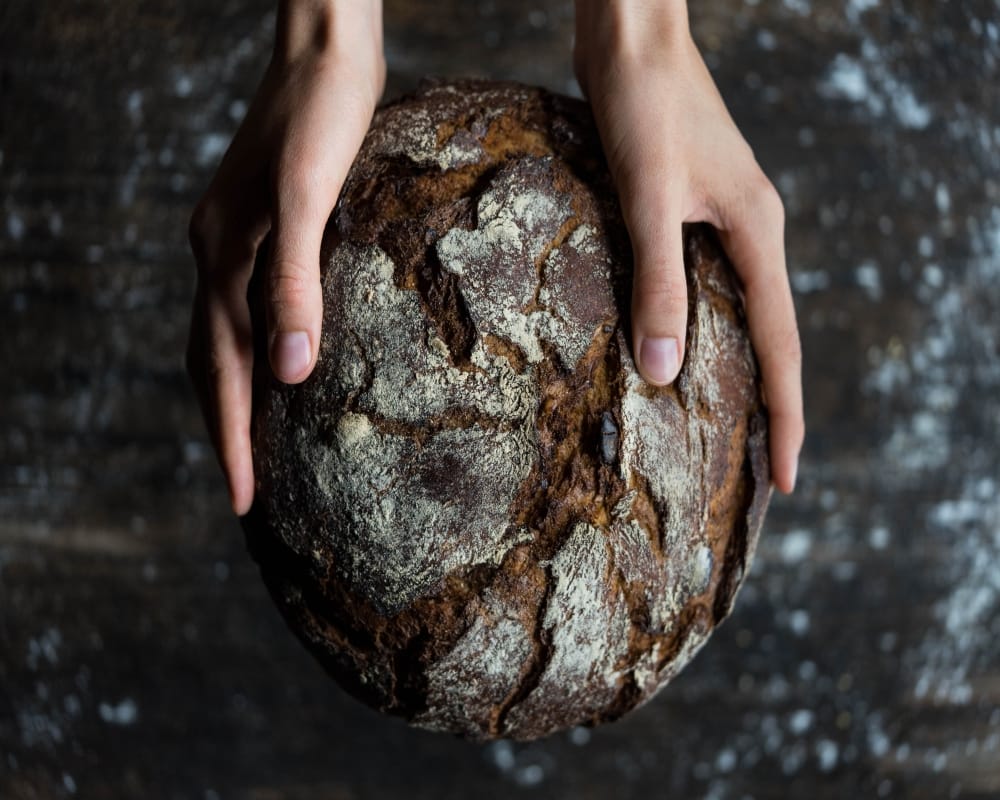 Scientists are making bread from dead cockroach flour rich in protein