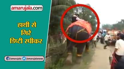 Newly elected Assam deputy speaker kripanath Mallah falls off an elephant