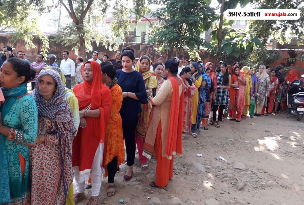 jammu kashmir municipal election voting percentage is going on hike