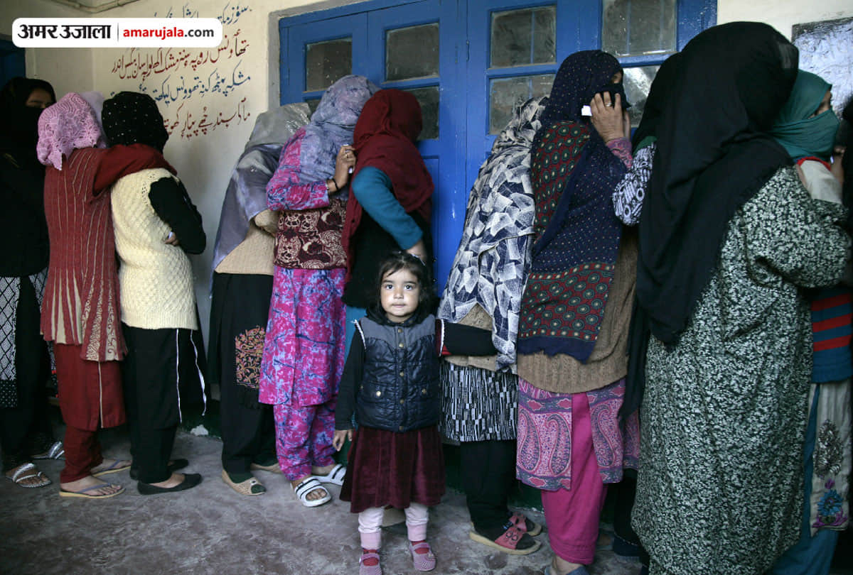 jammu kashmir local body elections polling numbers down in kashmir valley