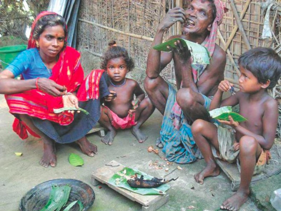 Musahars eating rats and fights with starvation in Uttar Pradesh