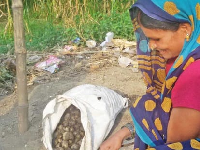 Musahars eating rats and fights with starvation in Uttar Pradesh