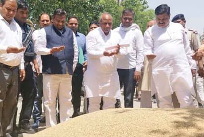 Haryana government will not investigate stocks of rice shellers