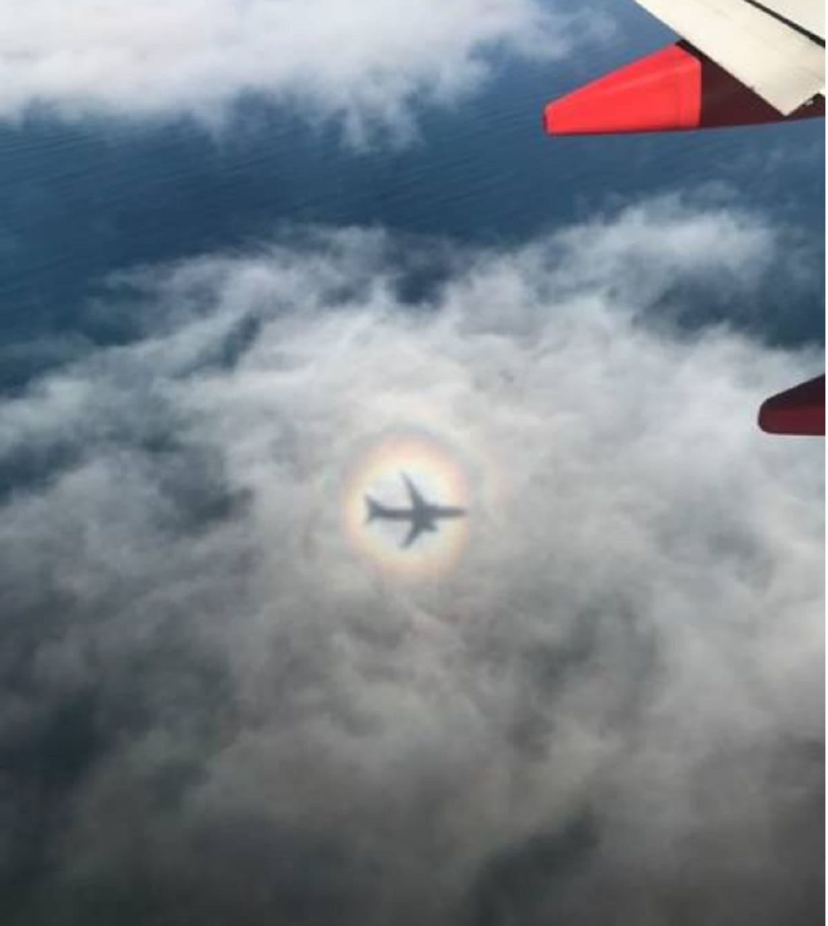 See funny photos of Shadow trending on Social media and whatsapp