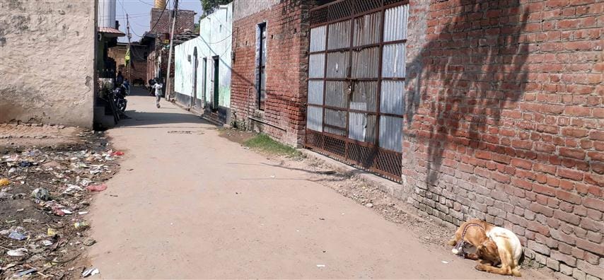 After the attack on Pankhudhi Pathak in Atrauli of Aligarh, the silence in Vespada