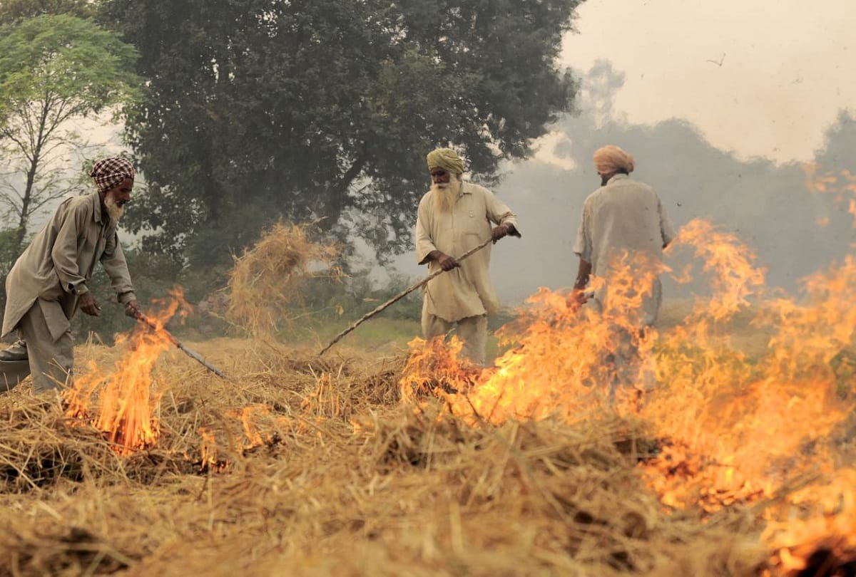 Punjab-Haryana will learn straw management from New Delhi