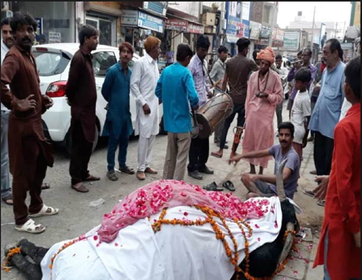 funeral ceremony of Bull occured at Bihar's Gaya
