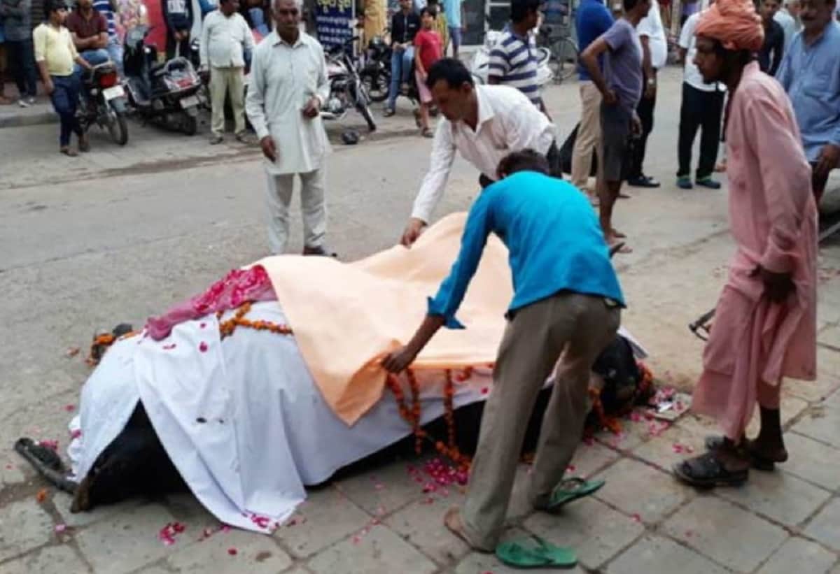 funeral ceremony of Bull occured at Bihar's Gaya