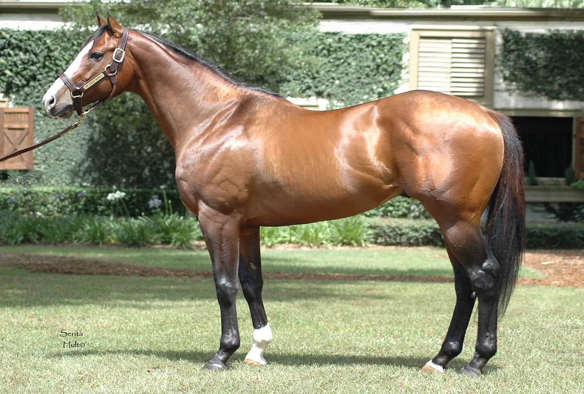 These are worlds most richest, costliest and expensive animals