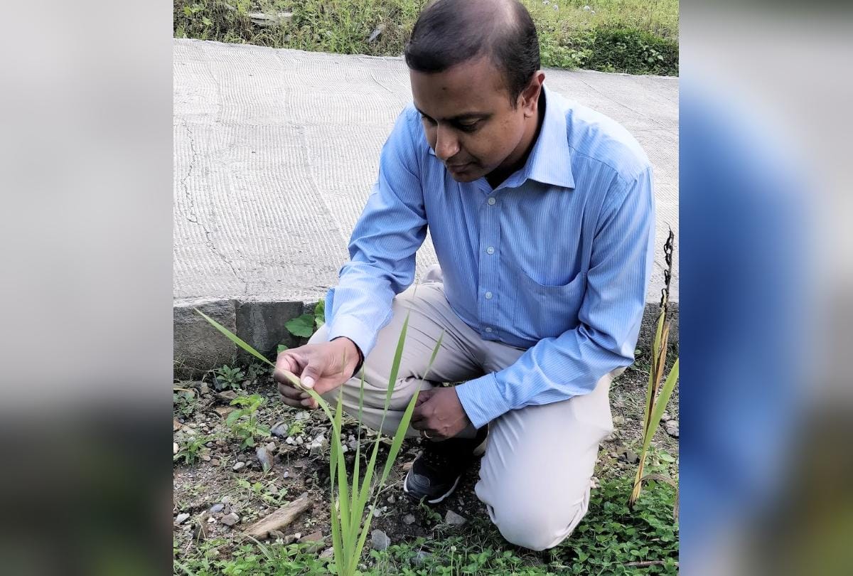 IIT mandi technique water will be extracted from fog