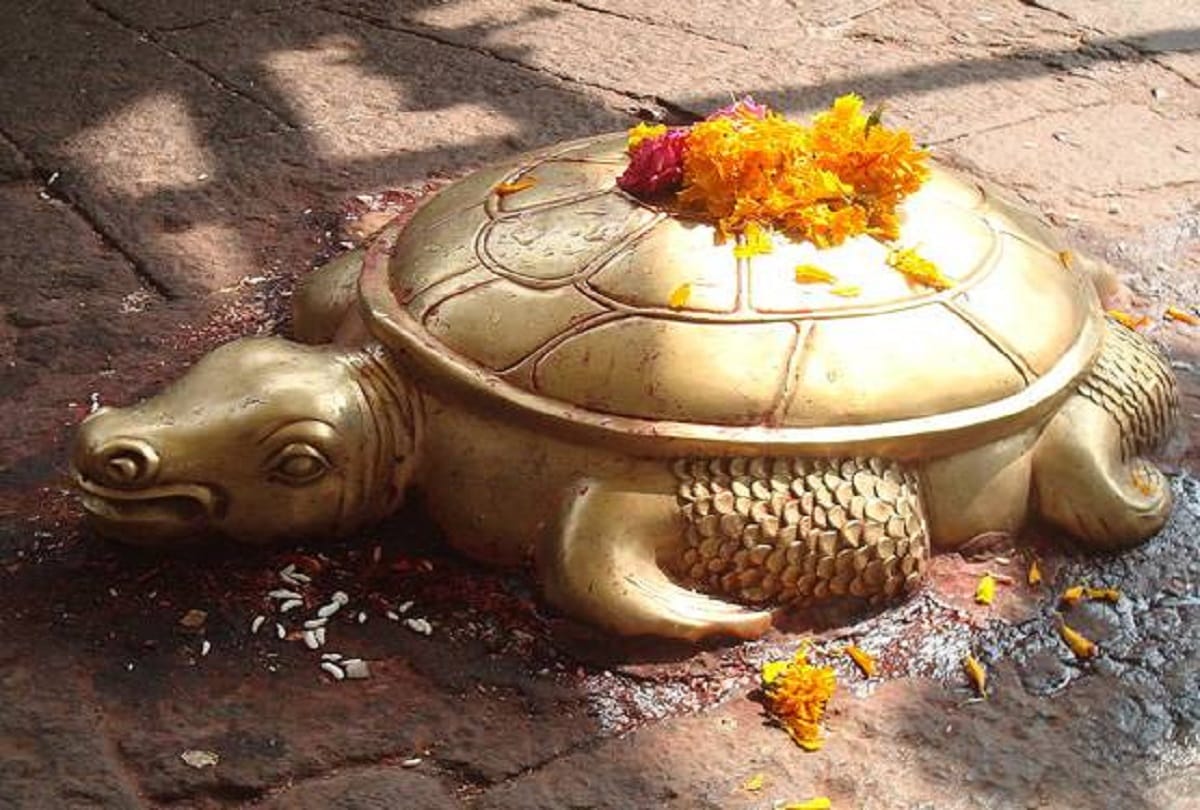 fengshui tips benefits of tortoise in home