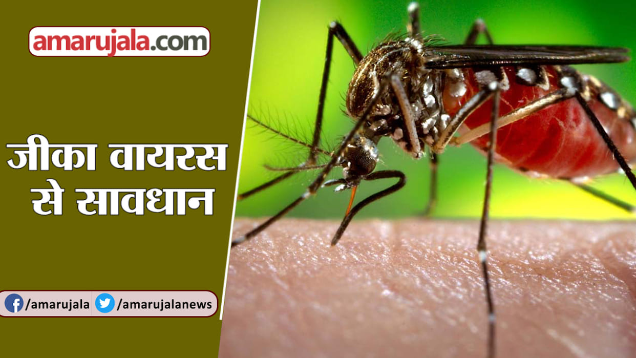 Zika virus: Third female patient found in Lucknow, both patients found earlier will remain isolated at home for 15 days