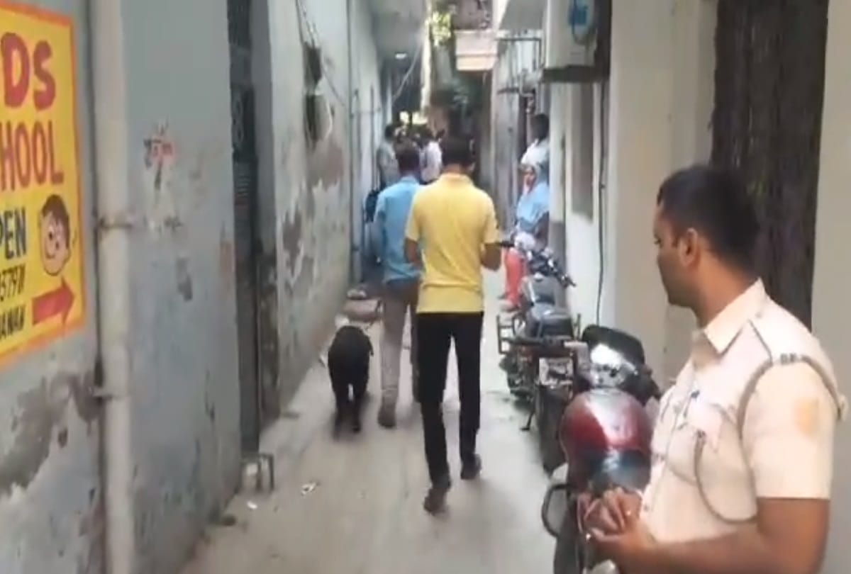 vasant kunj triple murder son murder father in last as he was afraid of being exposed, horrific tale