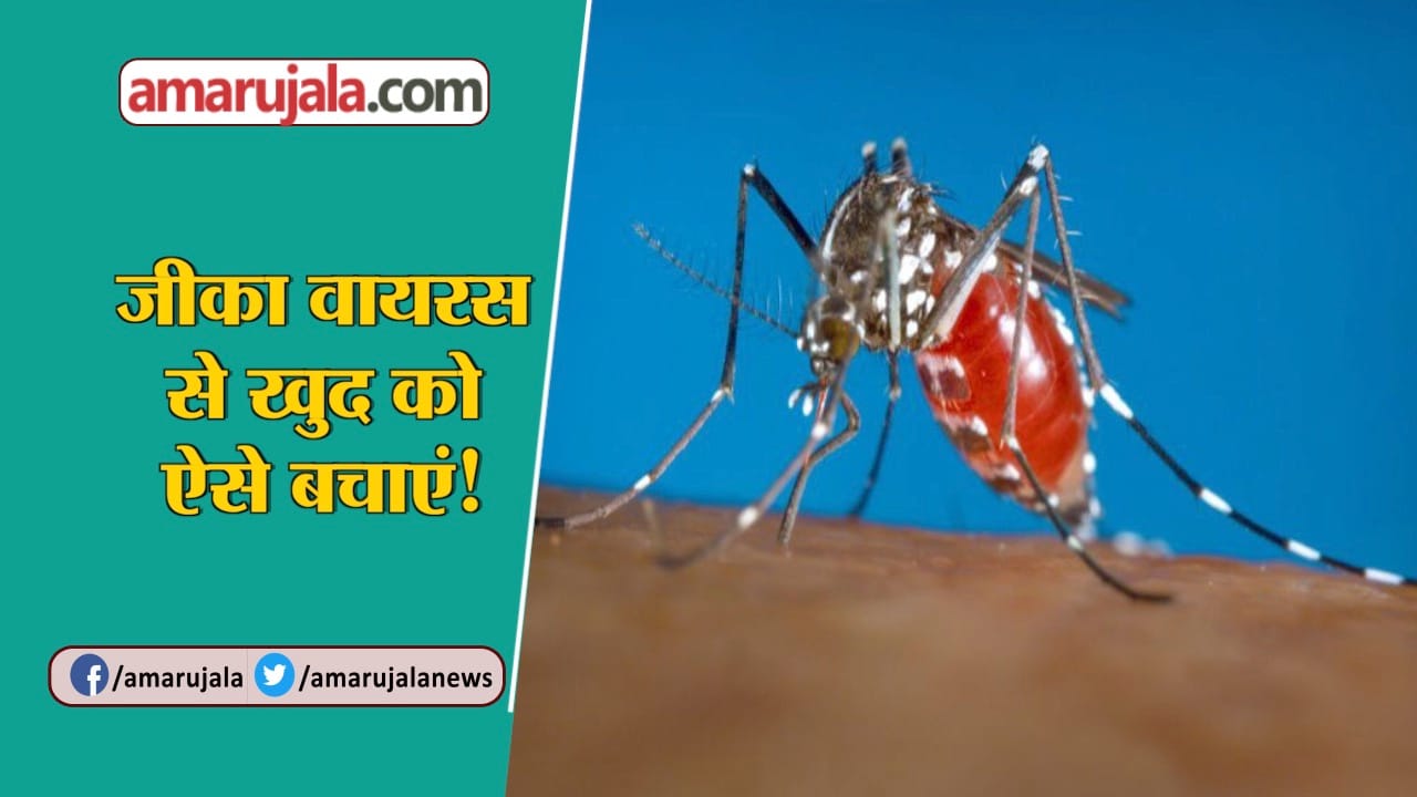 zika virus