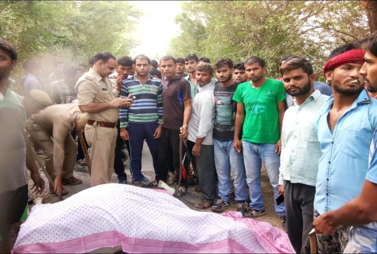 Anti-social elements killed cow