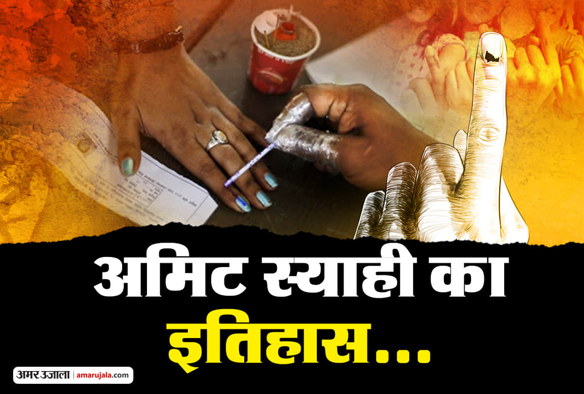 lok sabha elections 2019 ink used on the finger of the voter